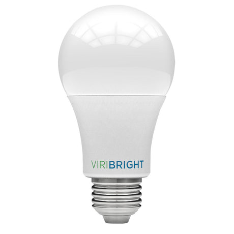 A-Shape Standard Bulbs