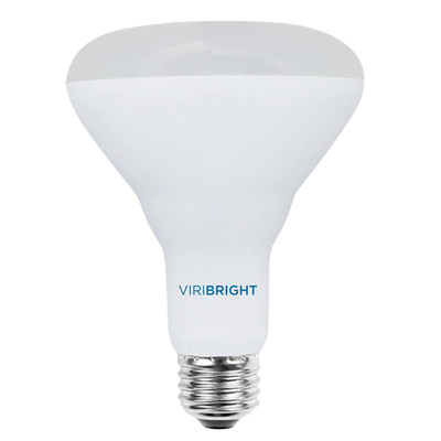 BR30 LED Bulb