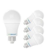 60-Watt EQ A19 E26 810lm Dimmable LED Light Bulbs T20 (4-Pack)
