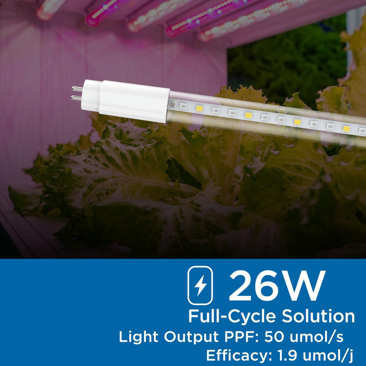 LED Grow Light Tube, T5, Type A - 4200K
