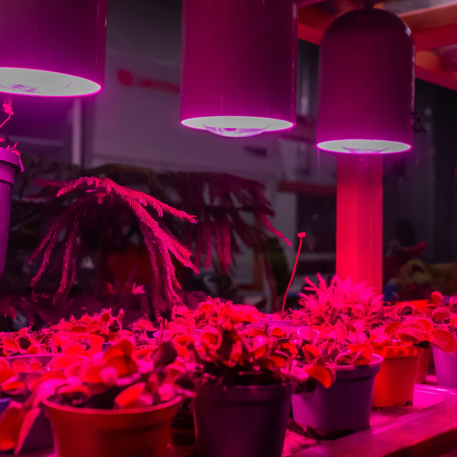 BR30 E26 Base Indoor Garden LED Grow Light Bulb