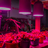 BR30 E26 Base Indoor Garden LED Grow Light Bulb