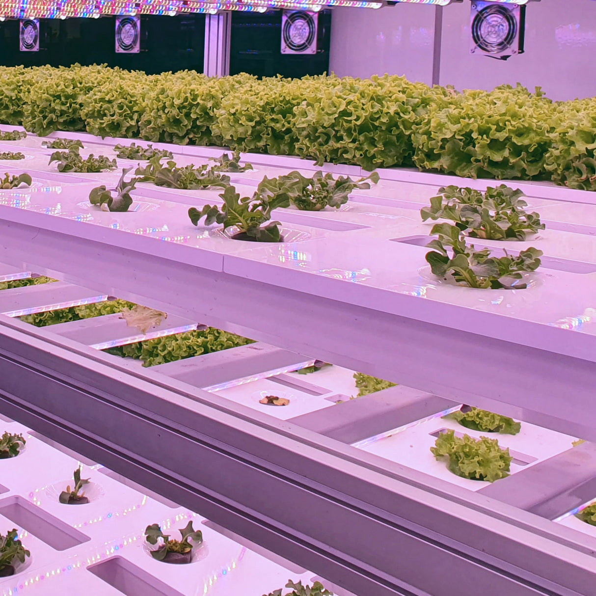 600-Watt LED Grow Light Full Cycle Fixture