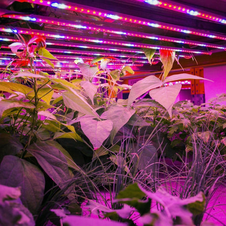 600-Watt LED Grow Light Full Cycle Fixture