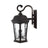 Flame Lantern Outdoor LED Wall Light with Sensor & Water Glass