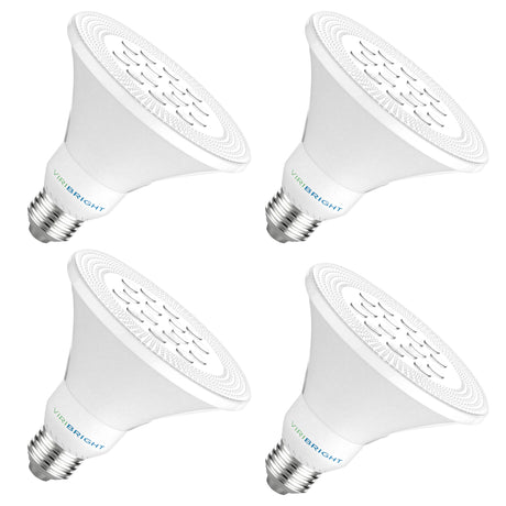 75-Watt Equivalent PAR30 E26 LED Flood Light LED Light Bulb