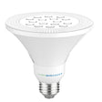 75-Watt Equivalent PAR30 E26 LED Flood Light LED Light Bulb